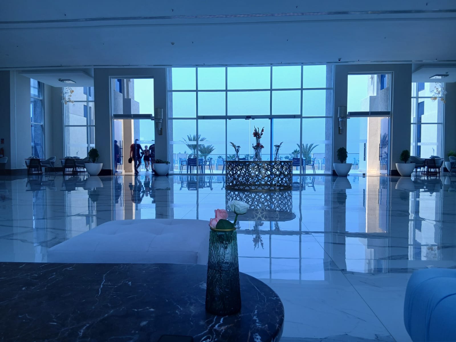 WhatsApp Image 2026-02-23 at 23.55.26