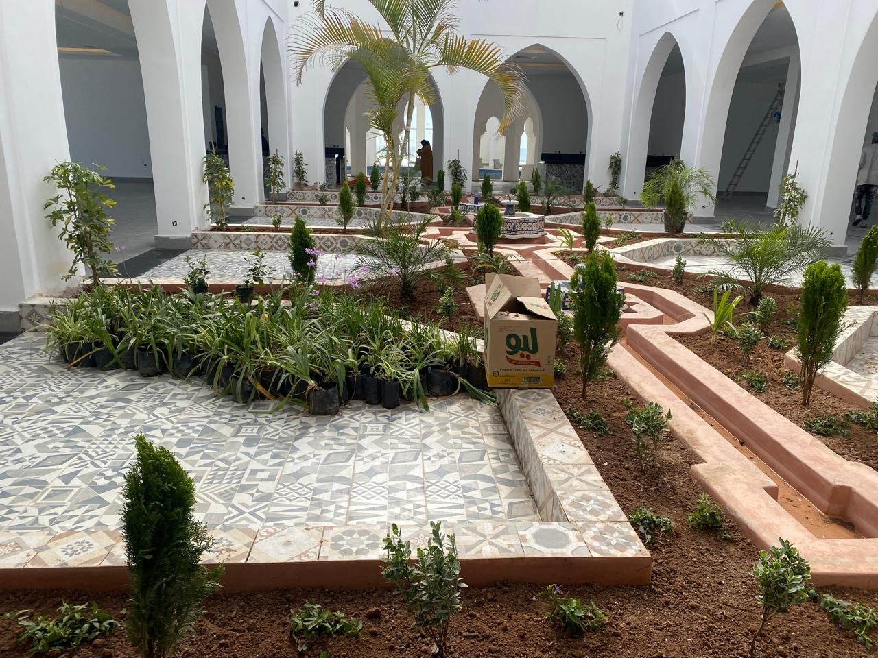 WhatsApp Image 2026-02-24 at 10.06.30 (5)