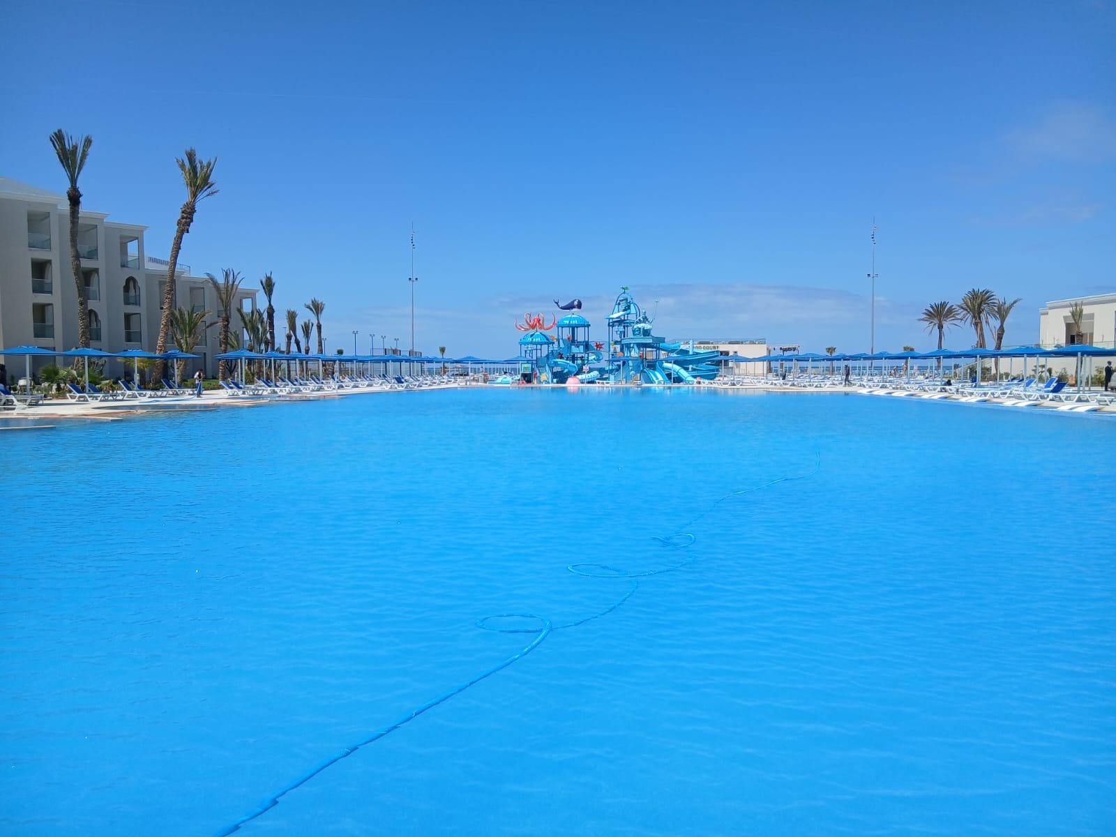 WhatsApp Image 2026-02-24 at 10.06.30