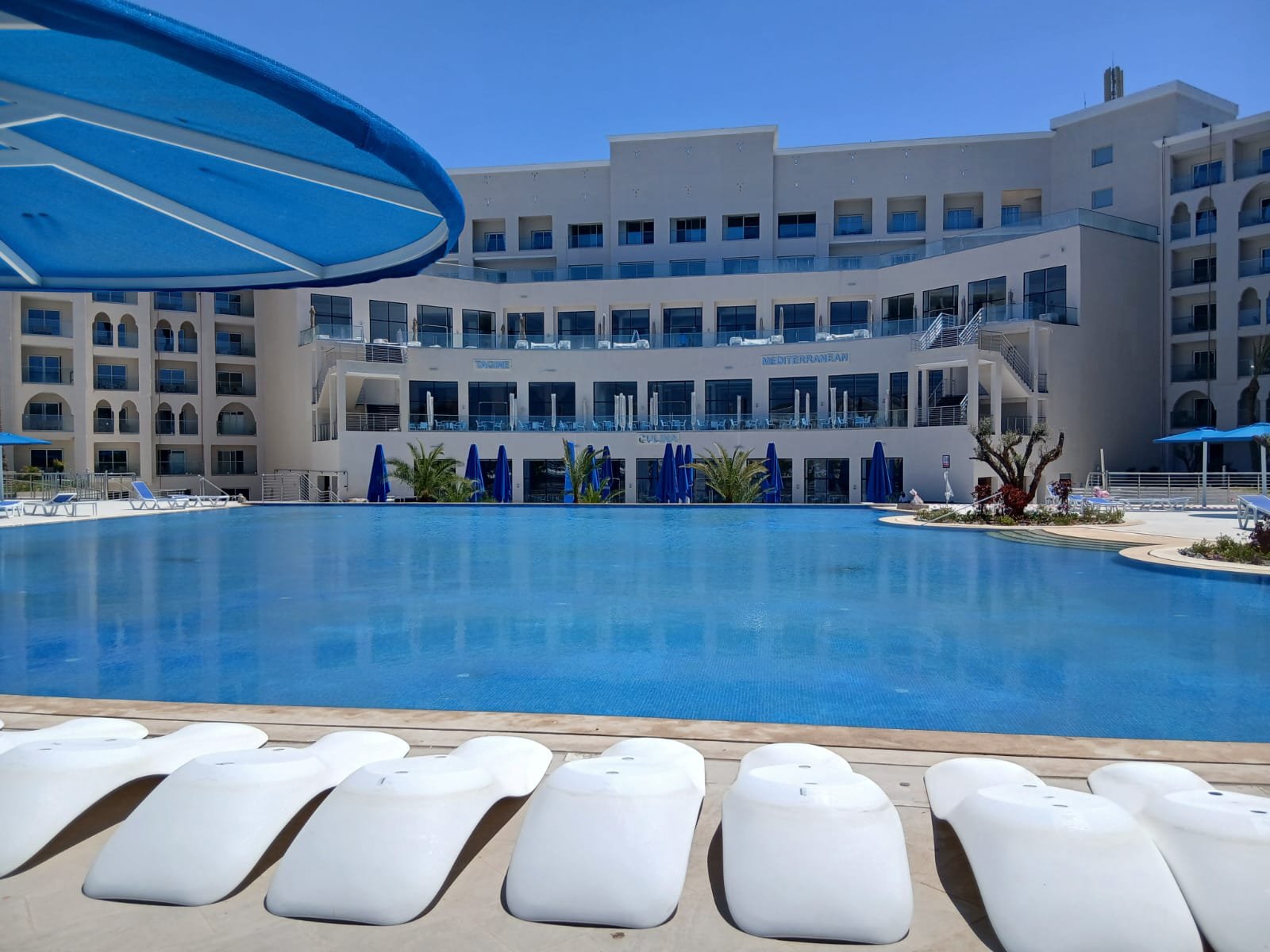 WhatsApp Image 2026-02-24 at 10.06.31