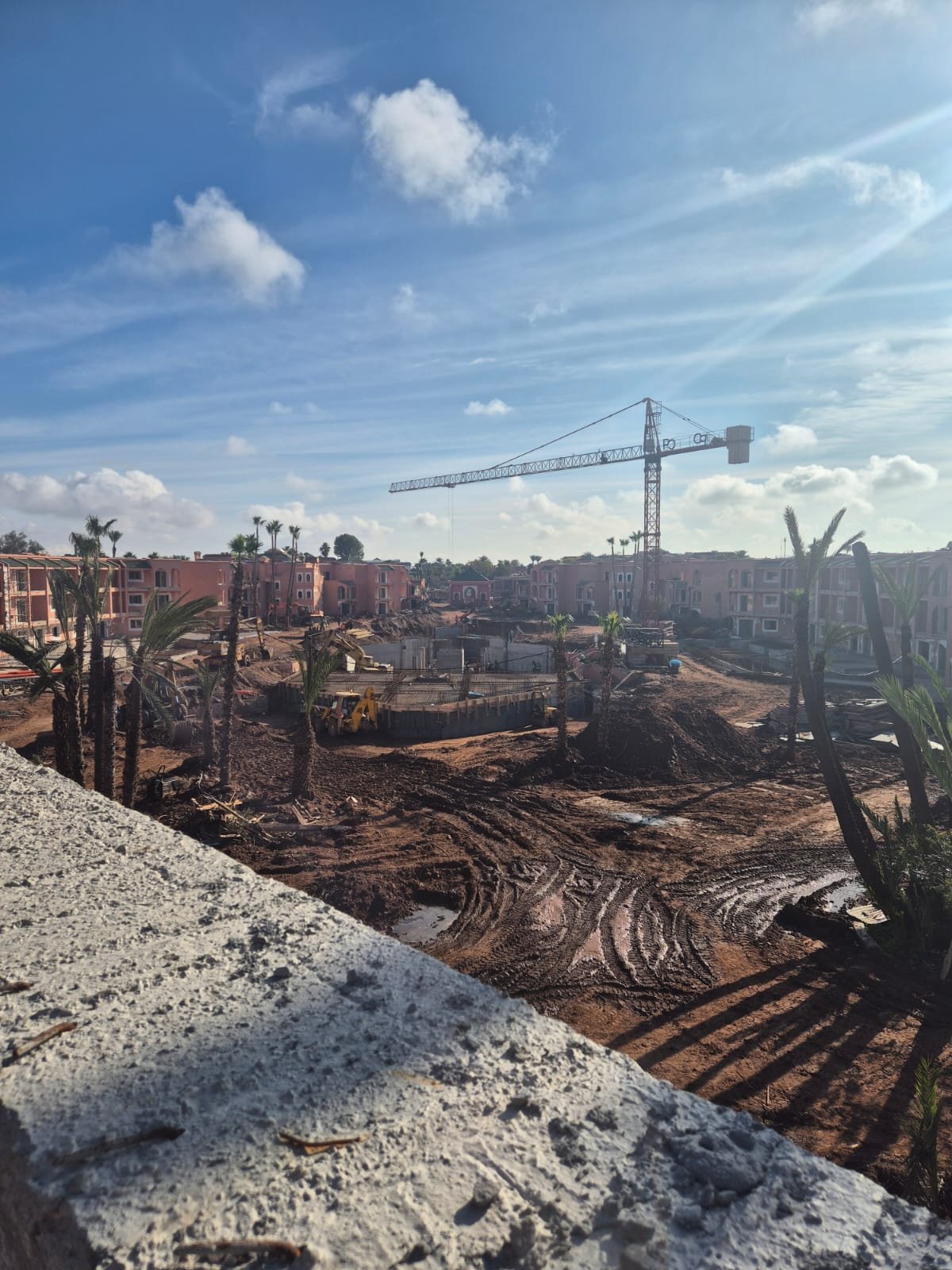 WhatsApp Image 2026-02-24 at 10.43.48 (1)