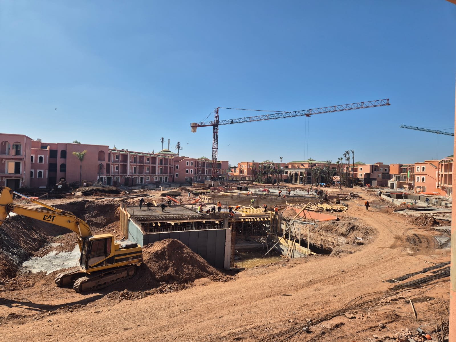 WhatsApp Image 2026-02-24 at 10.43.48