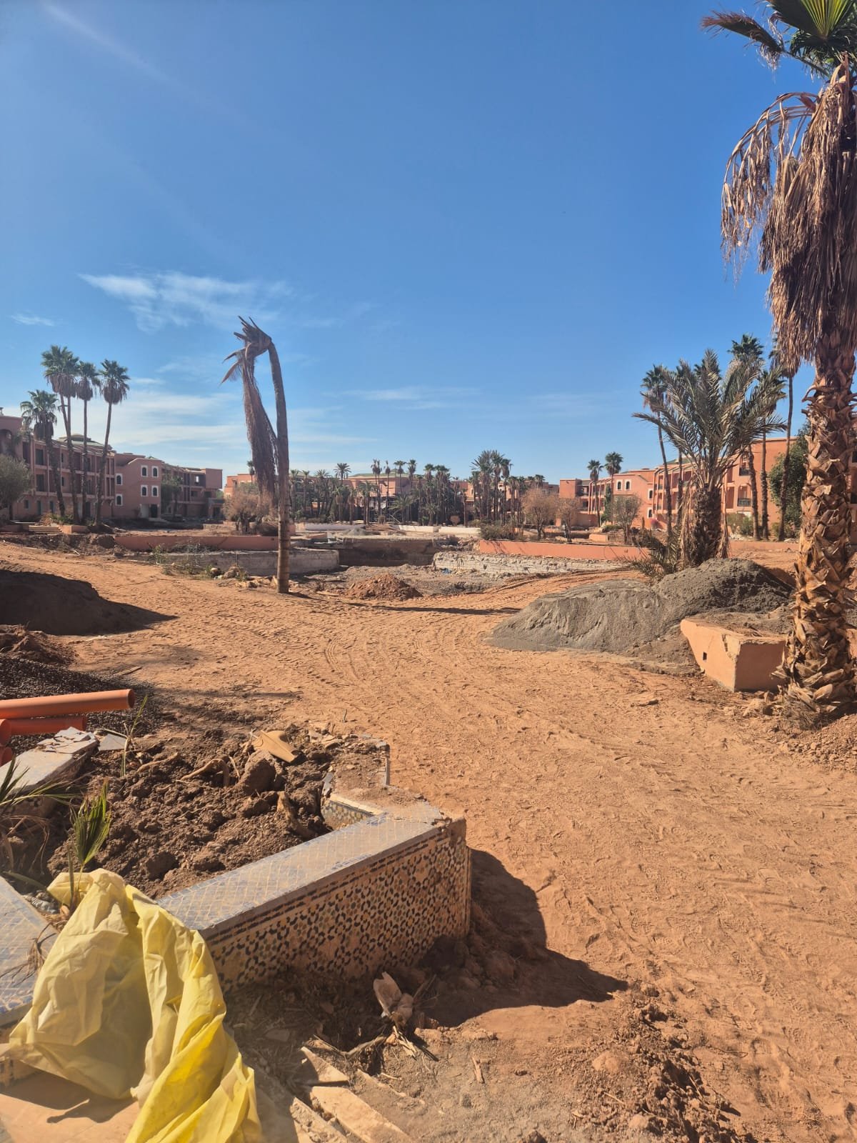 WhatsApp Image 2026-02-24 at 10.43.49 (1)