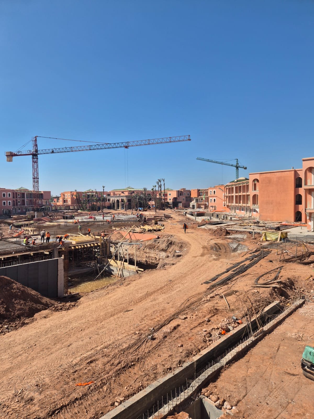 WhatsApp Image 2026-02-24 at 10.43.49 (2)