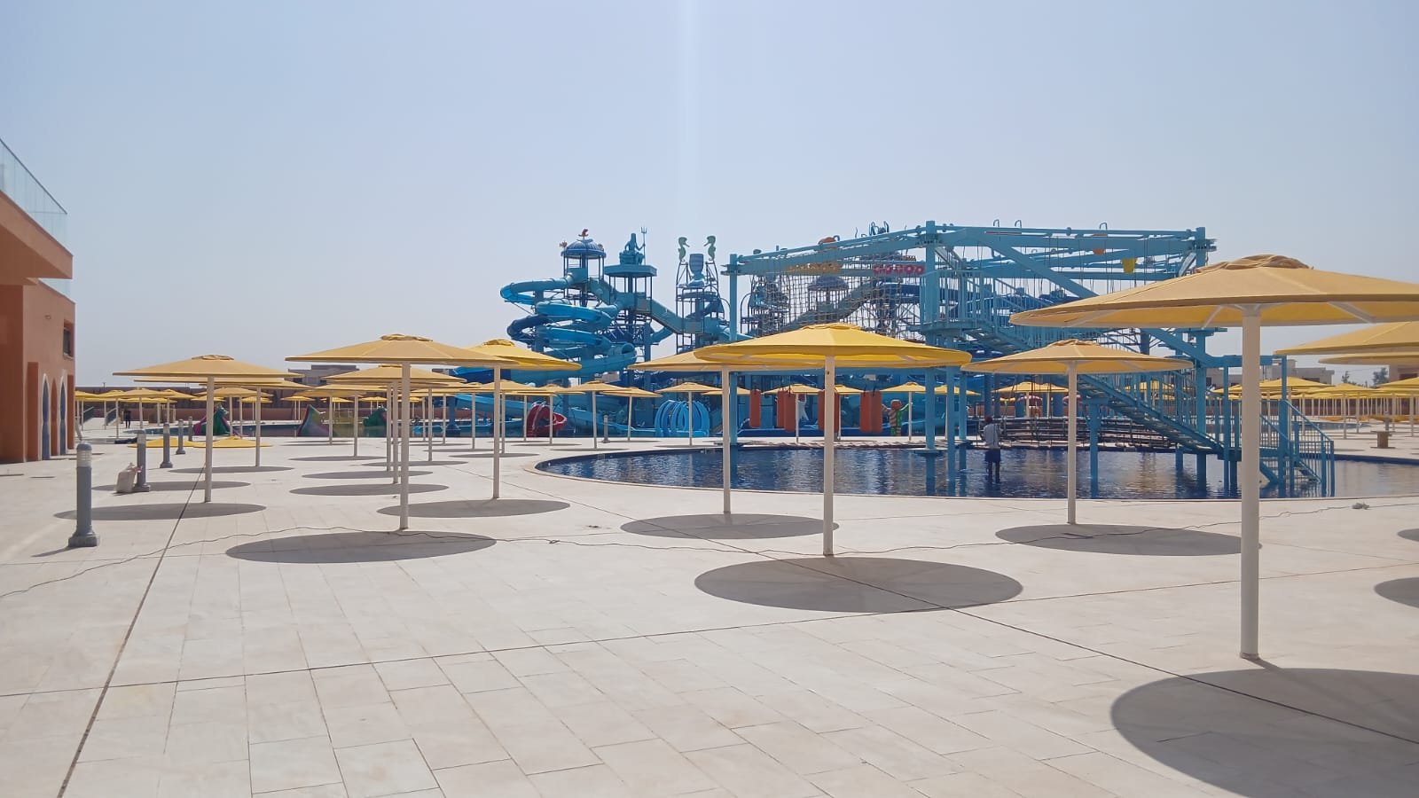 WhatsApp Image 2026-02-24 at 11.08.59 (1)